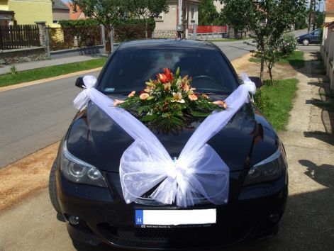 autodisz_1.jpg