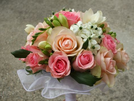 dscf1549.jpg