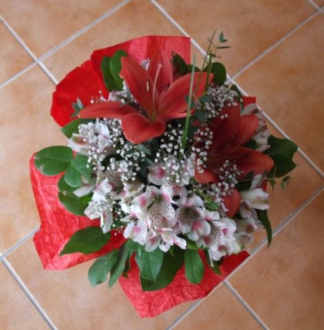 dscf5068.jpg