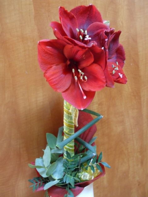 dscf5866.jpg